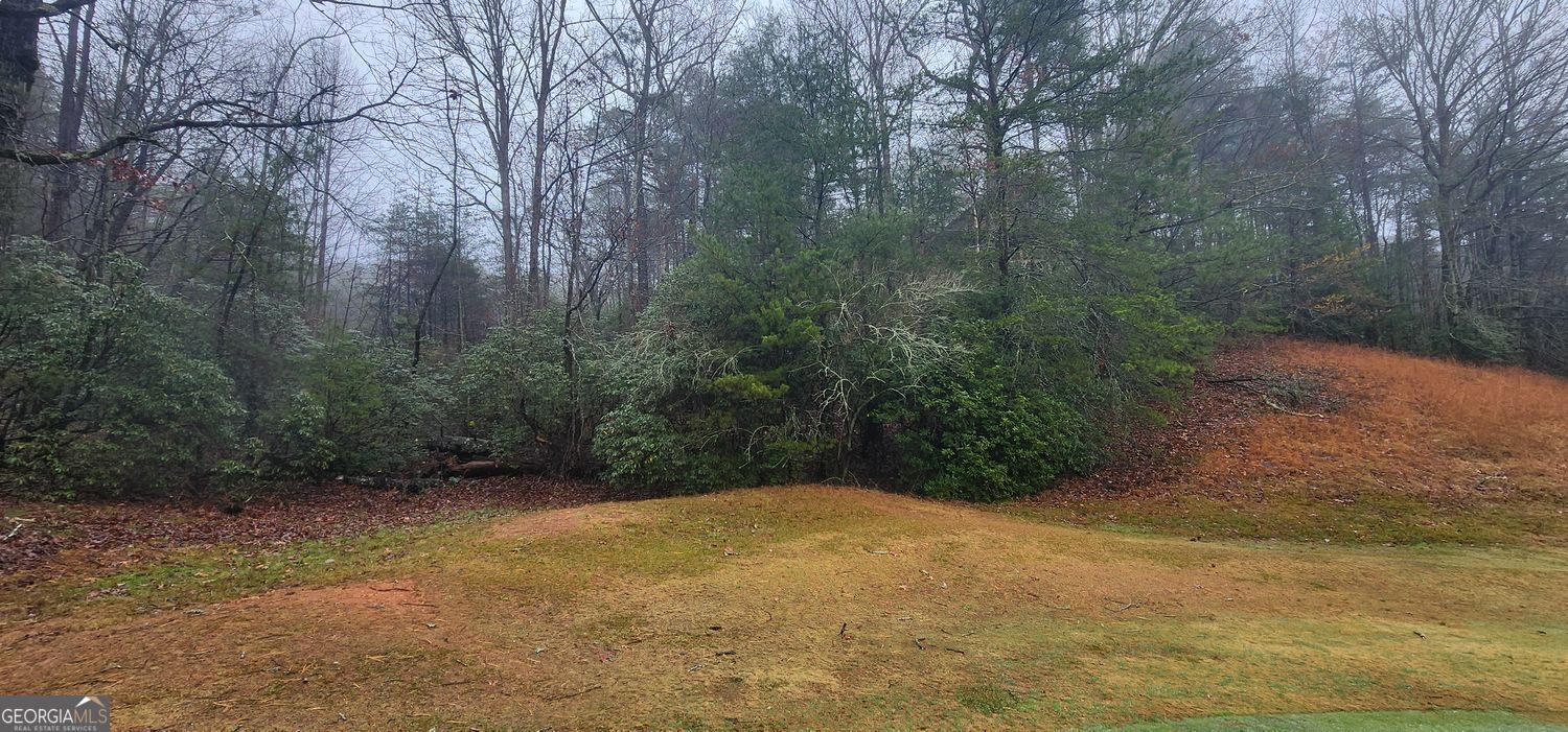 a view of a yard with a trees