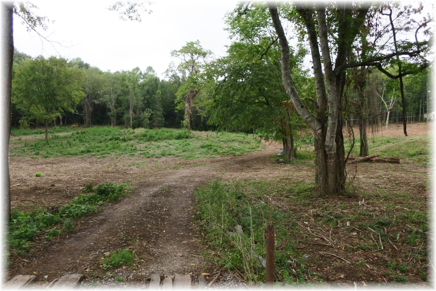 a big yard with lots of green space