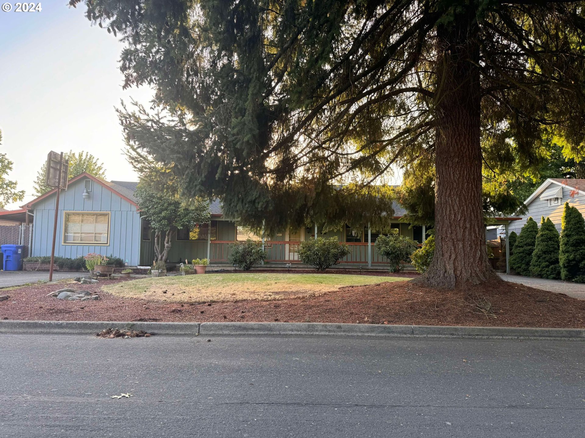 a house that has a tree in front of it