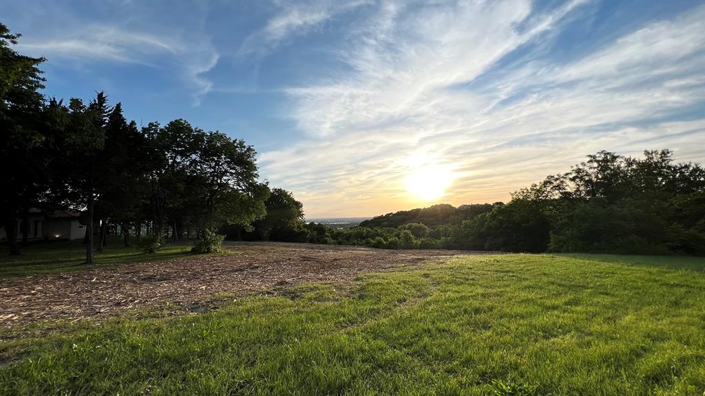 a view of a field with a tree