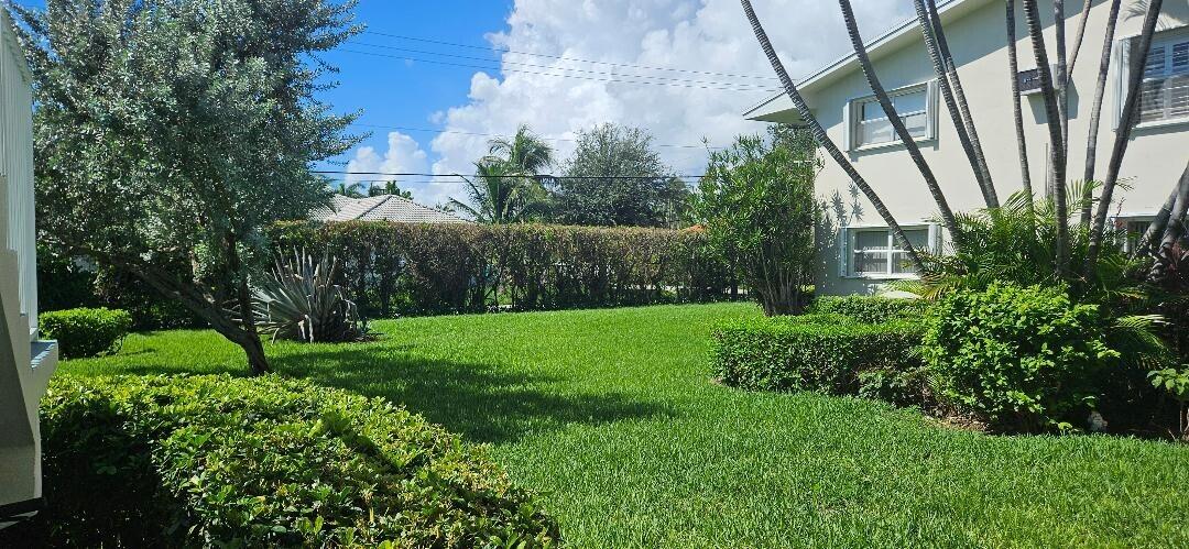 a view of backyard with garden and entertaining space