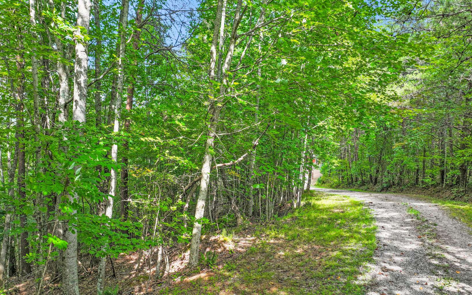 a view of outdoor space and trees all around