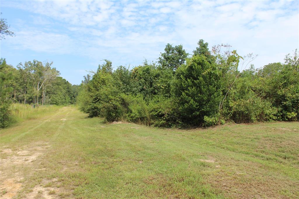 a view of a field with an trees in the background