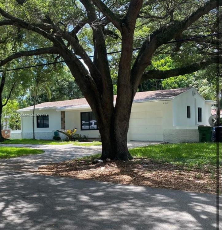 a view of a house in the background with a tree