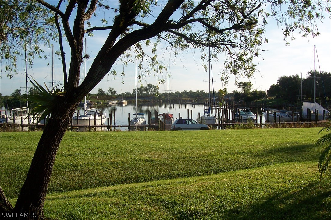 a view of a park with large trees