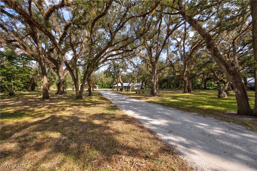 a view of outdoor space with trees