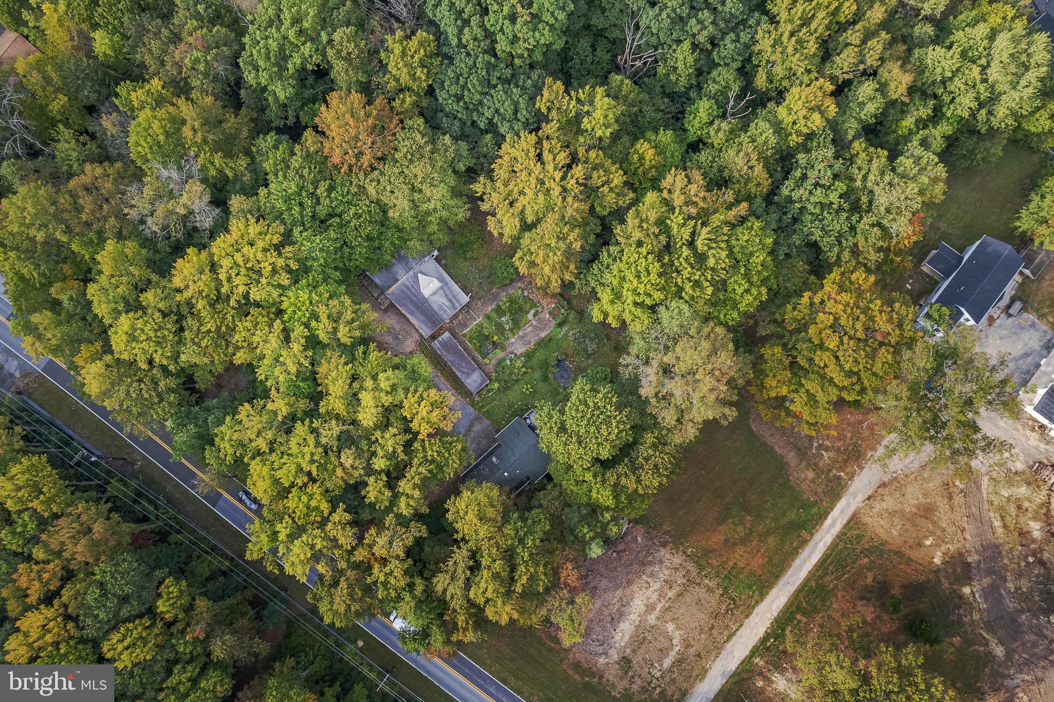 a view of a yard with plants