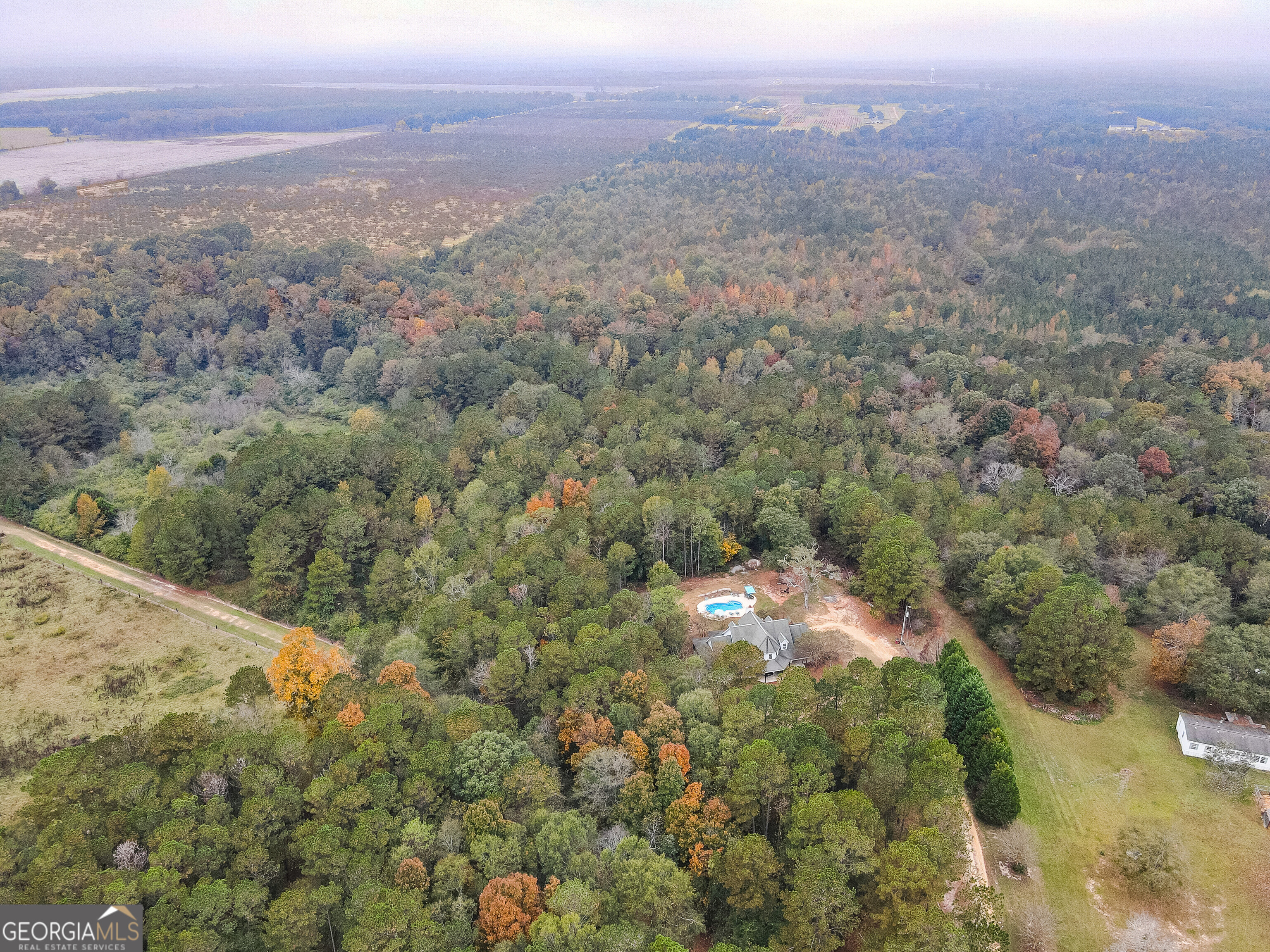 an aerial view of forest