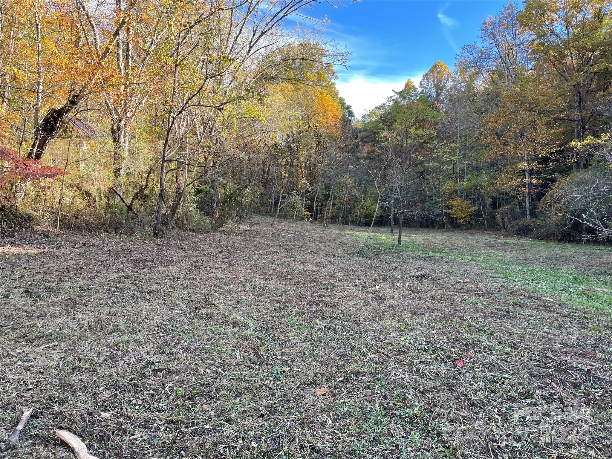 a view of a large yard with lots of green space