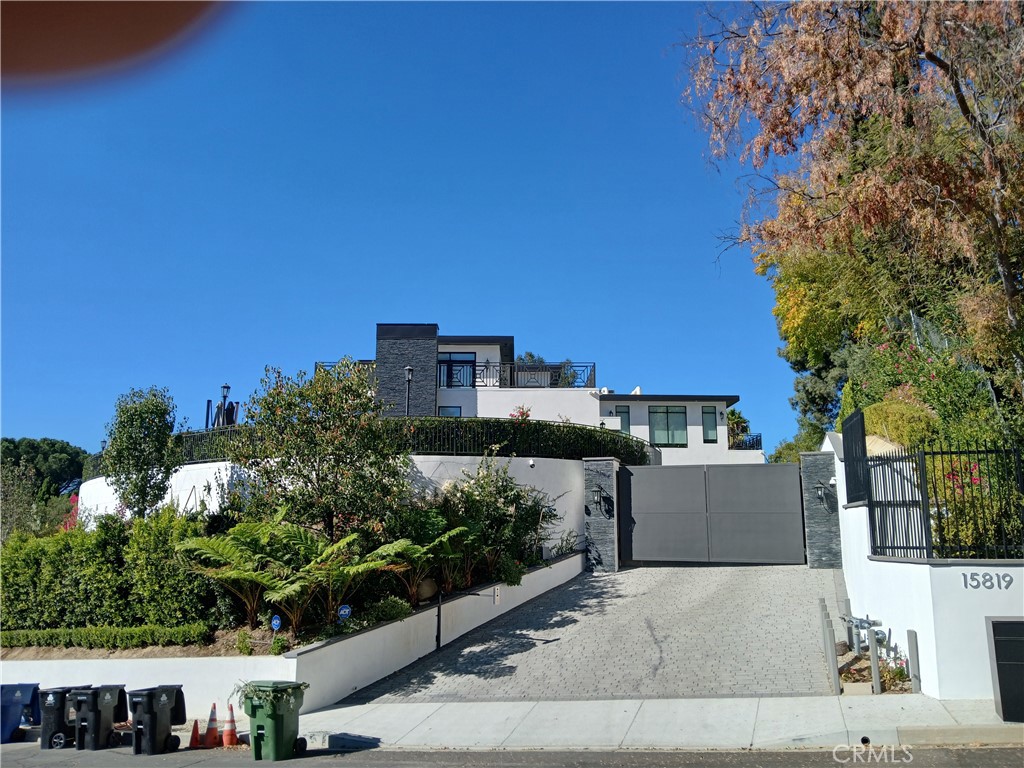 a view of a patio with plants and a large tree