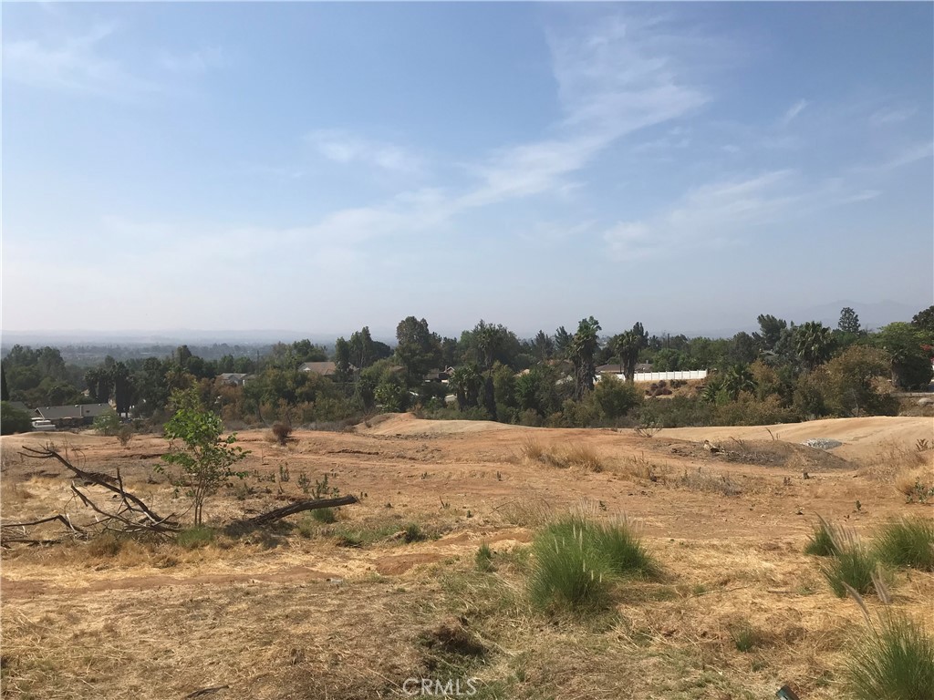 a view of dirt field with trees in background