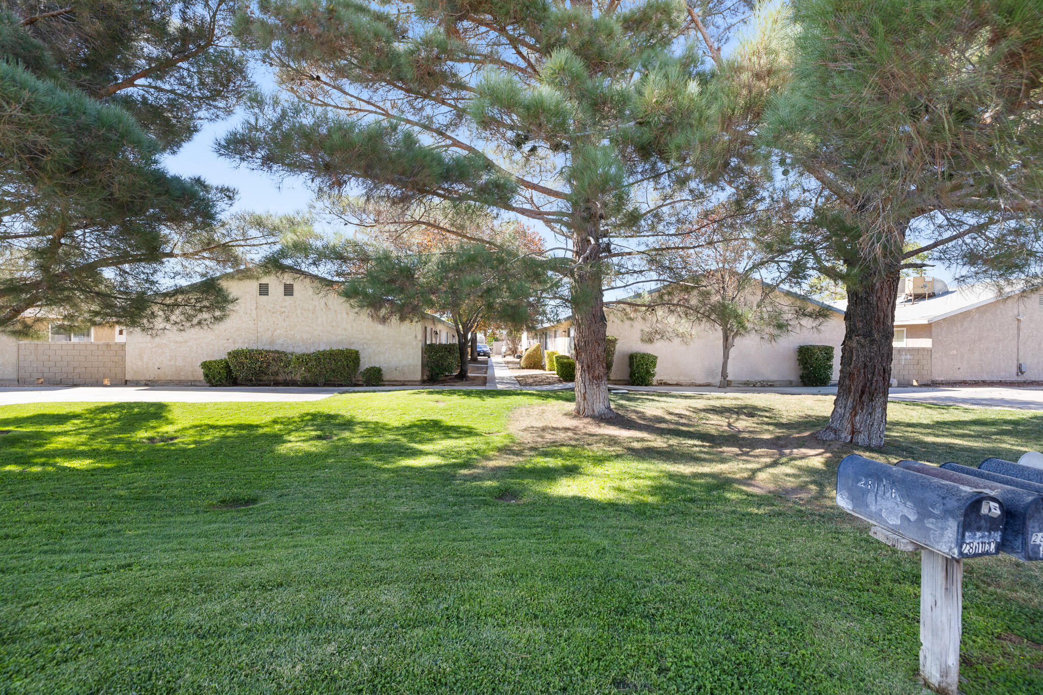 a view of yard with tree