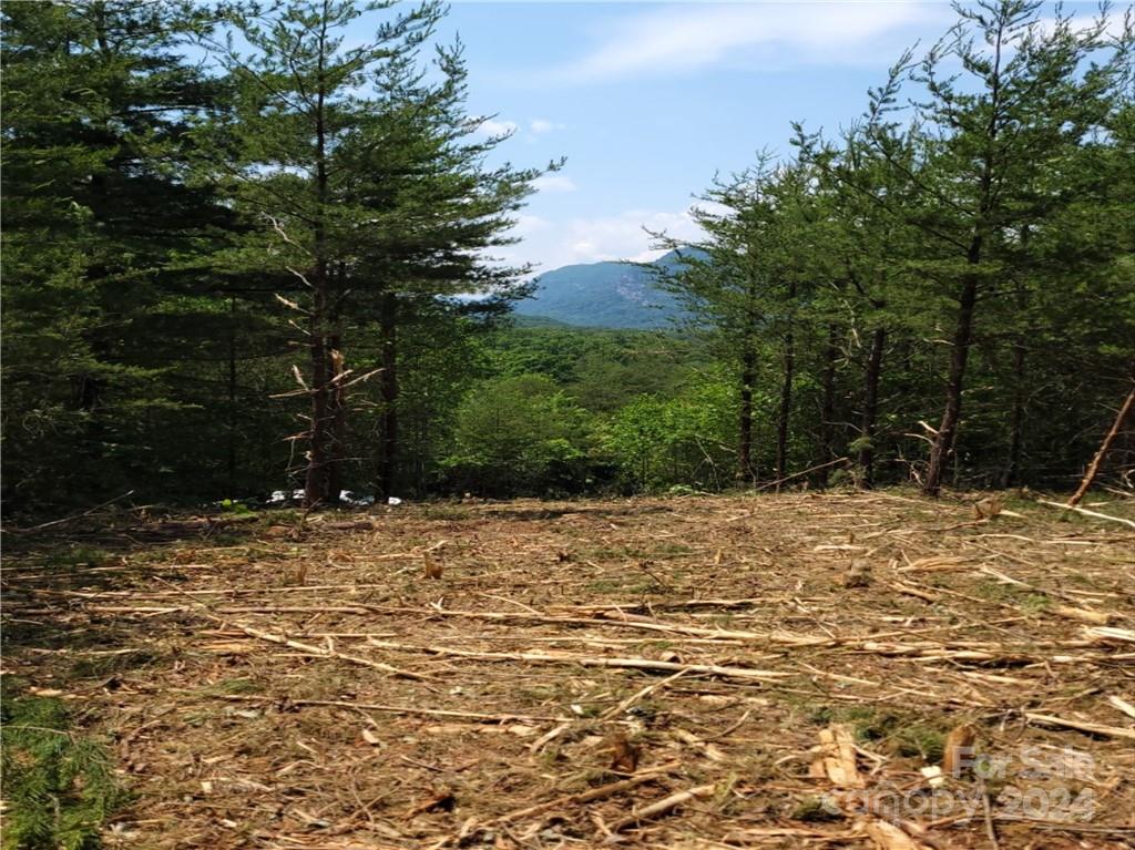 a view of a yard with trees