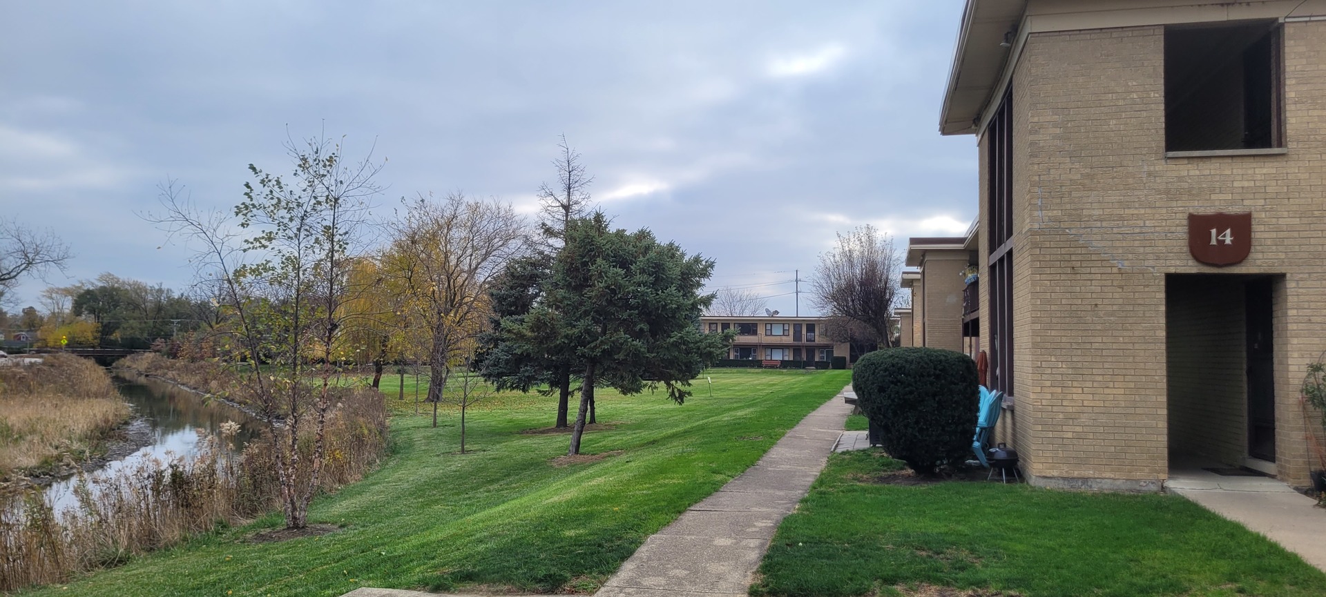 a view of a park with large trees