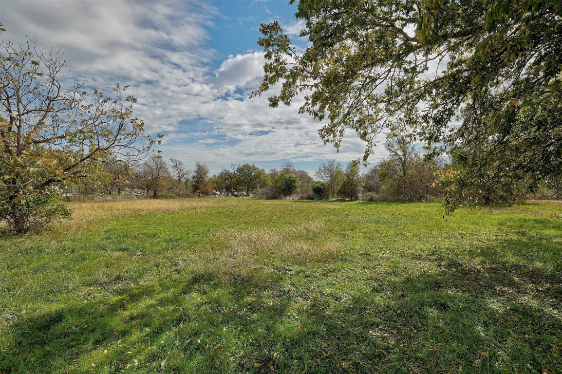 a view of yard with green space