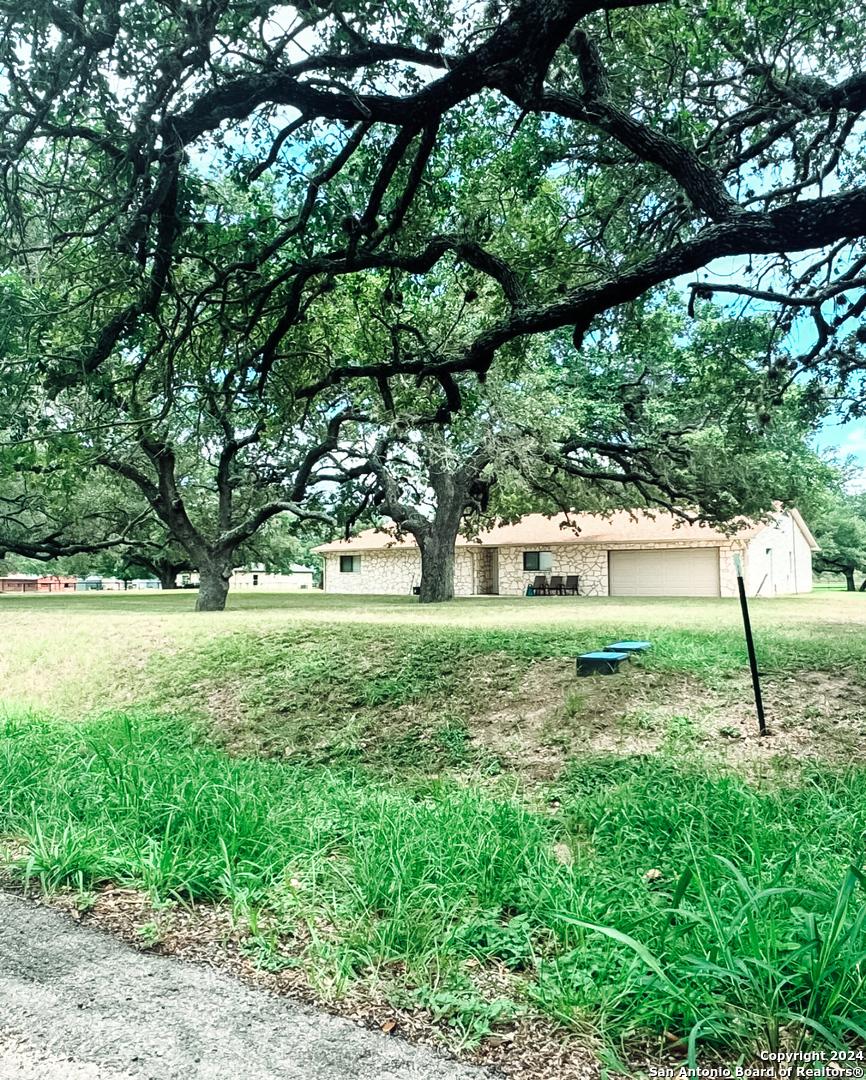 a view of yard with green space