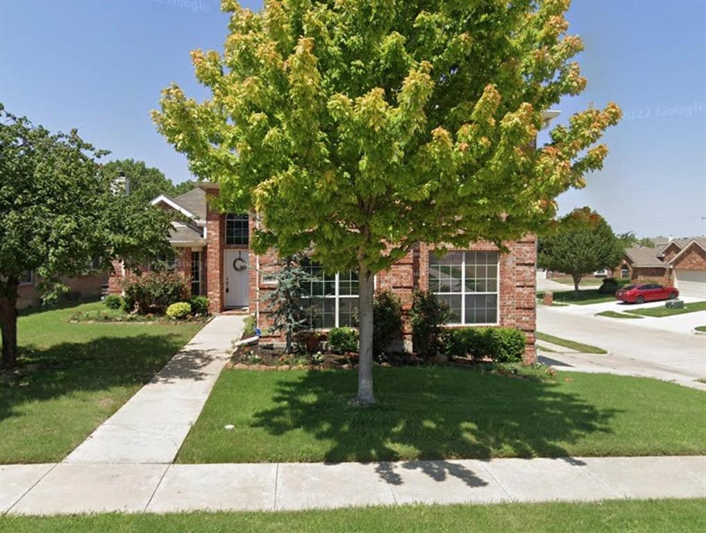 a view of a yard with plants and trees