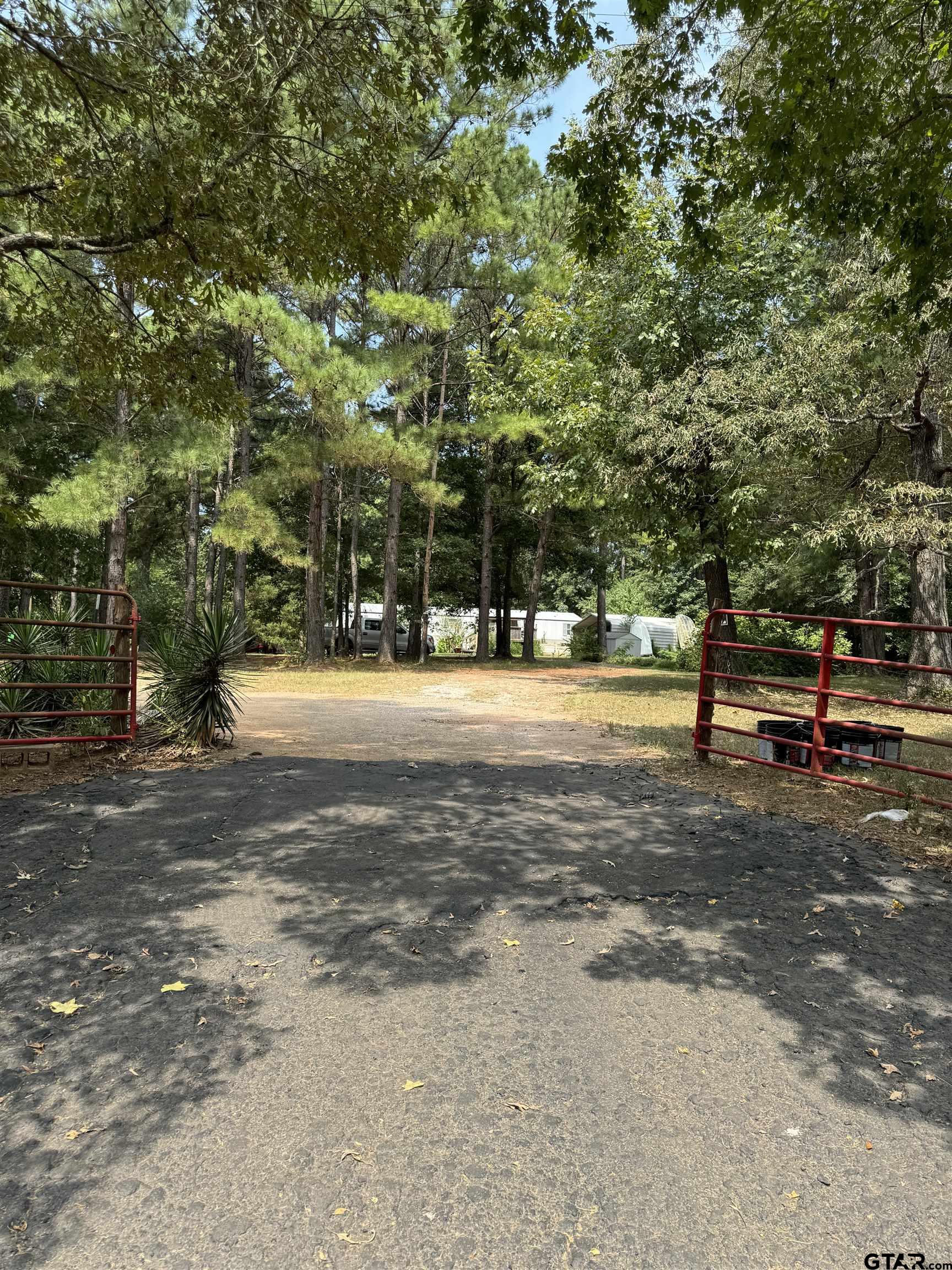 a view of a park with large trees