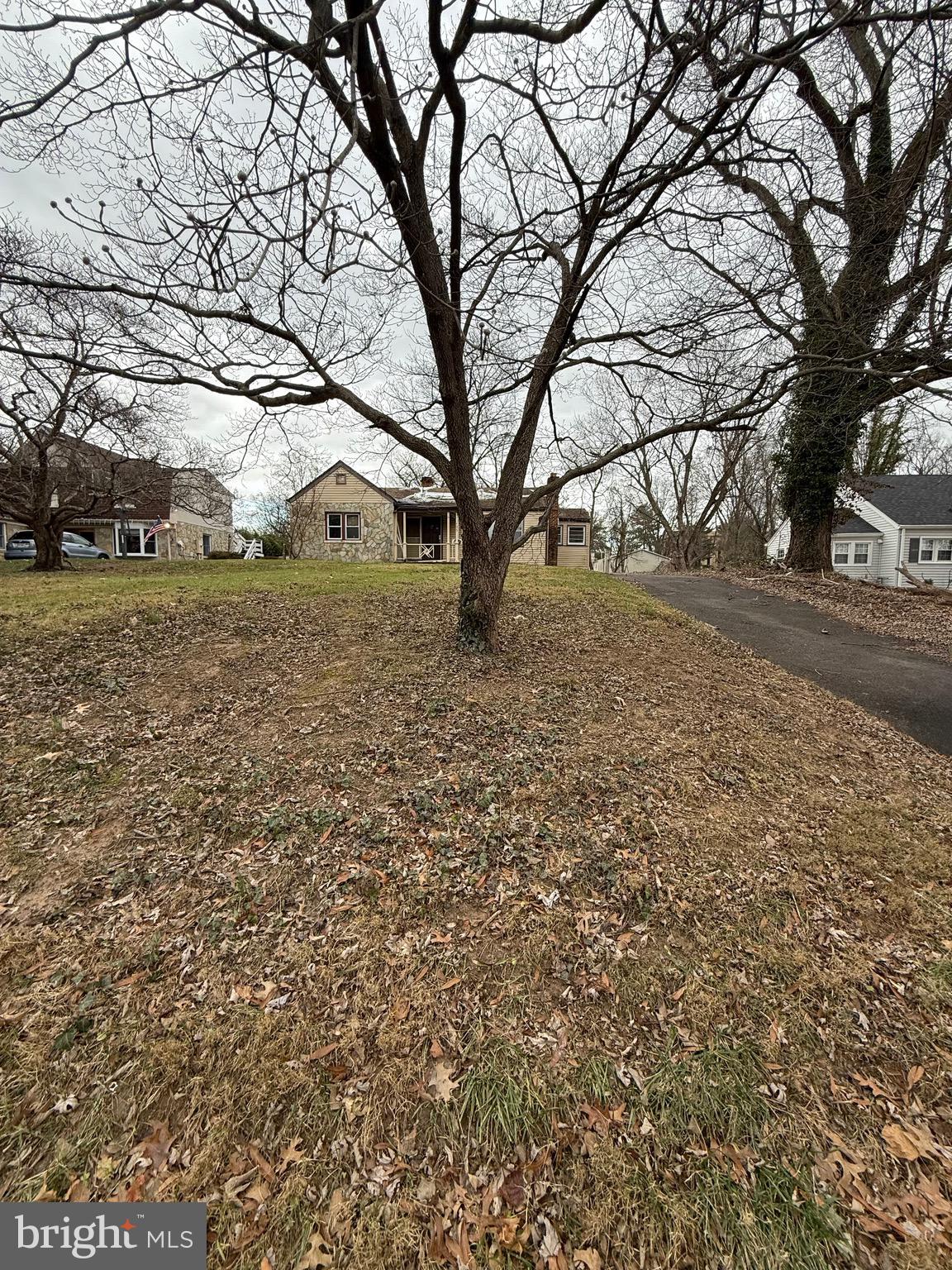 a large tree in the middle of a yard