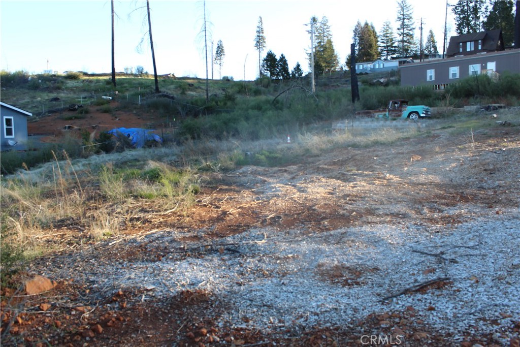 a view of a dry yard with trees