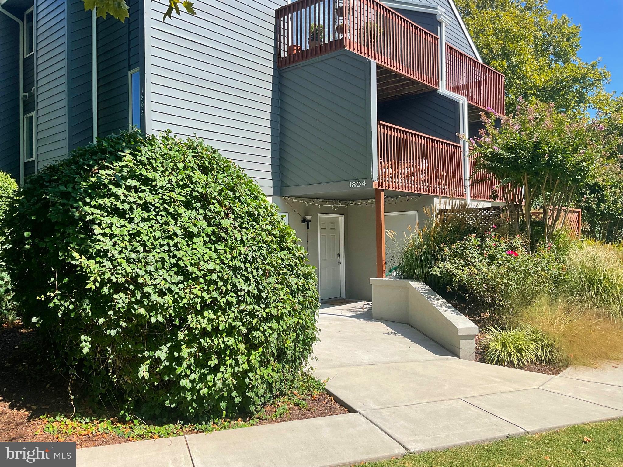 a view of a house with potted plants