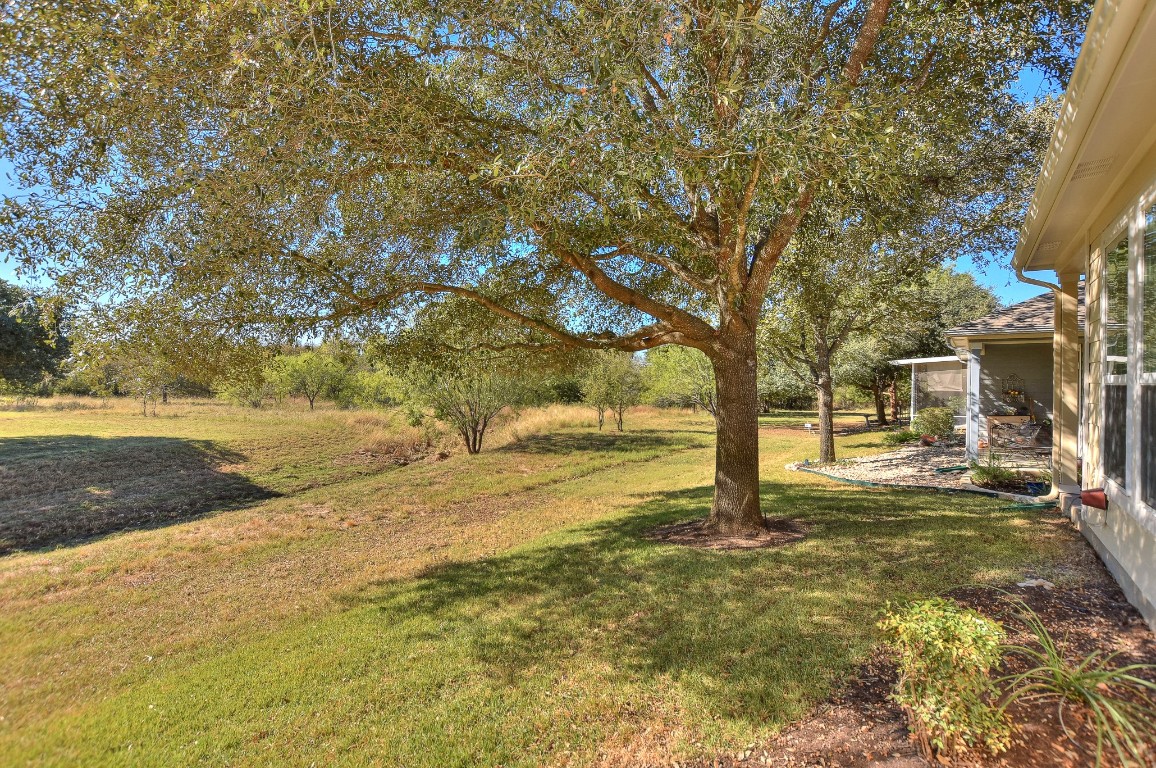 a view of a yard with an trees