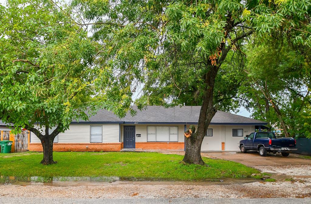 the shade tree houston tx