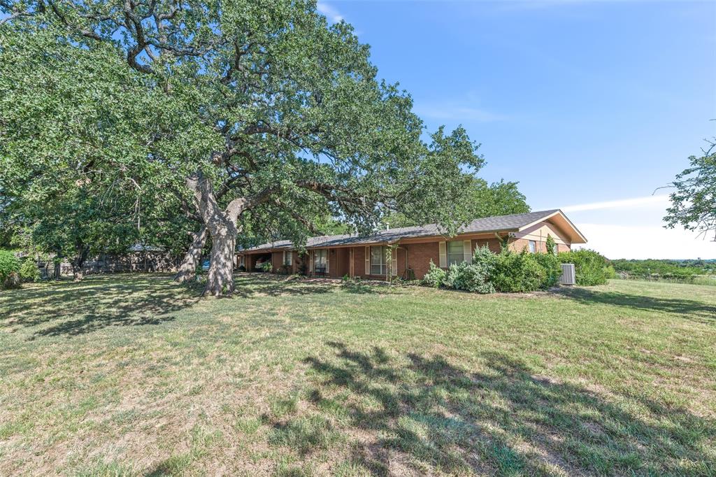 a backyard of a house with plants and large trees