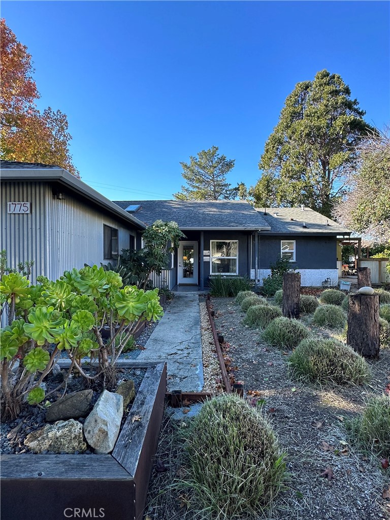 a view of a house with a yard and potted plants