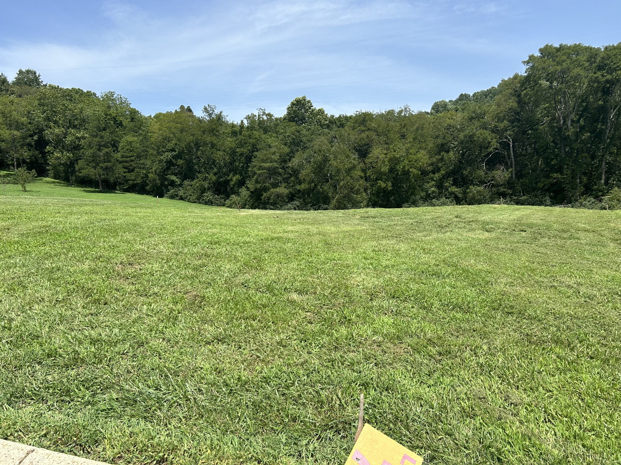 a view of a field with trees in the background