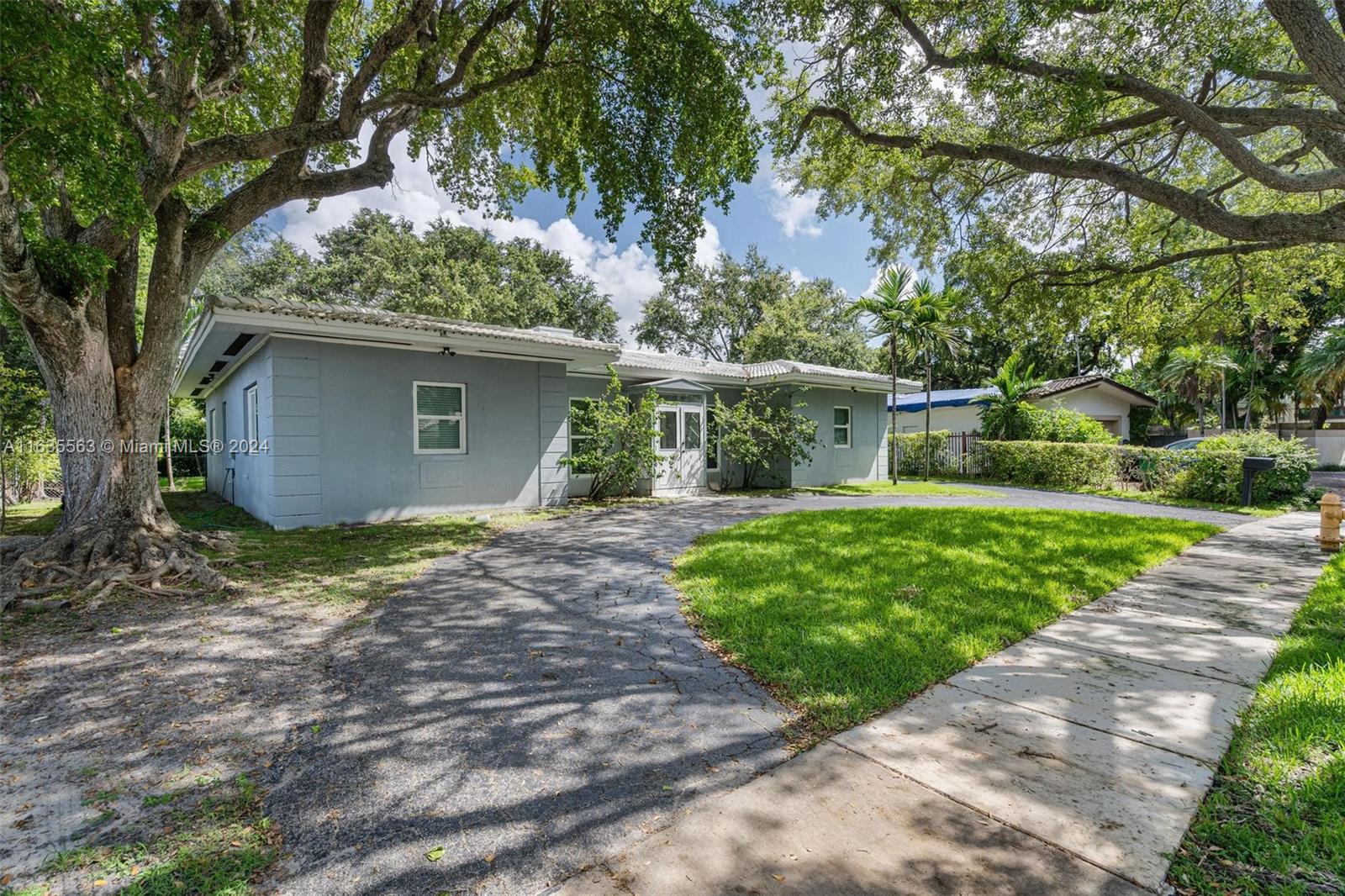 a backyard of a house with plants and large tree