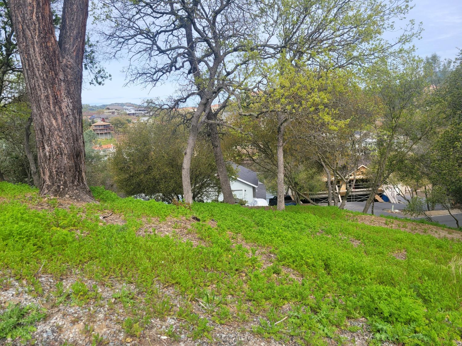 a backyard of a house with lots of green space