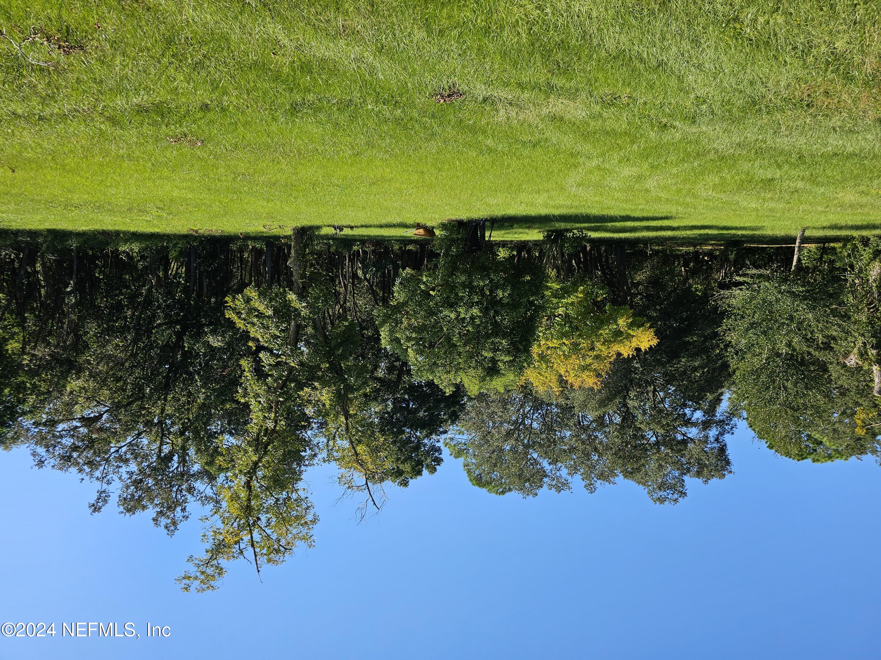 a view of green field with trees in the background