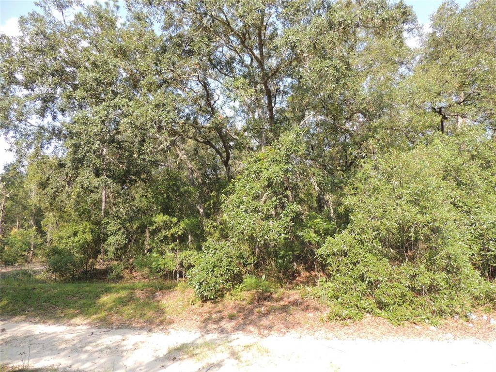 a view of a yard with a tree