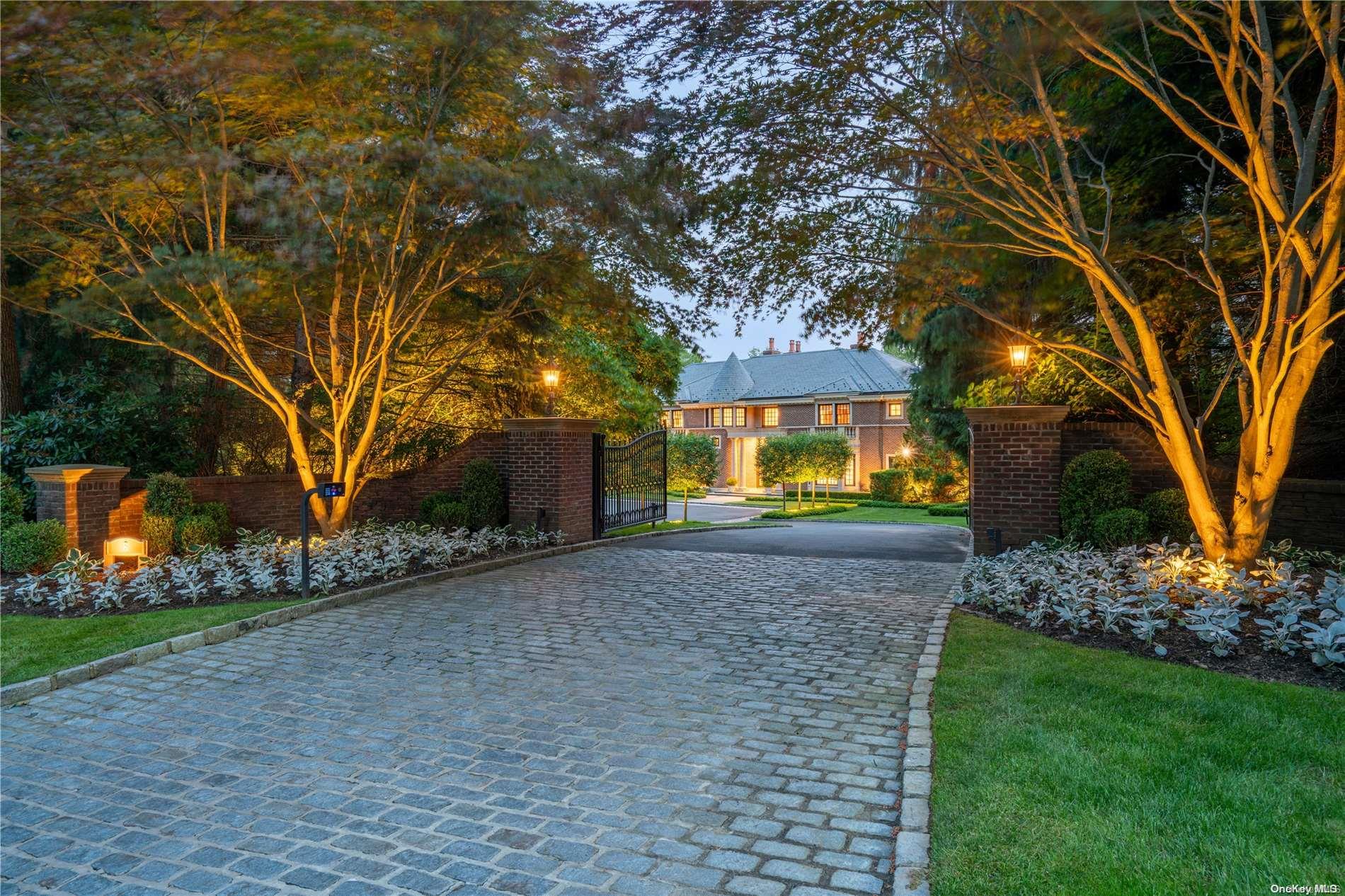 a view of a yard with plants and trees