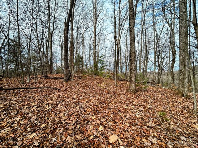 $49,600 | Lot 12 Rhododendron Drive | Saluda Township - Polk County