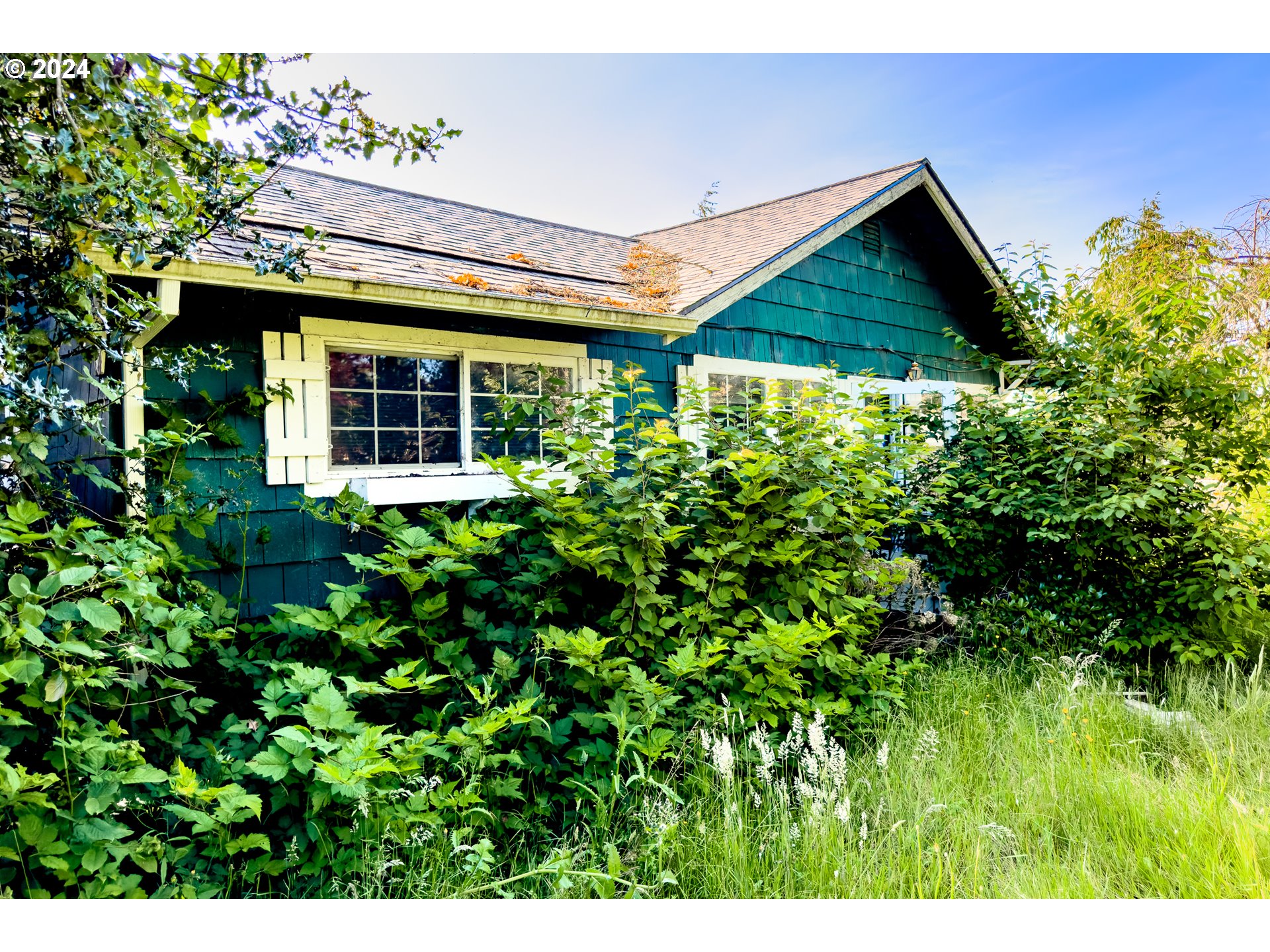 a view of a backyard