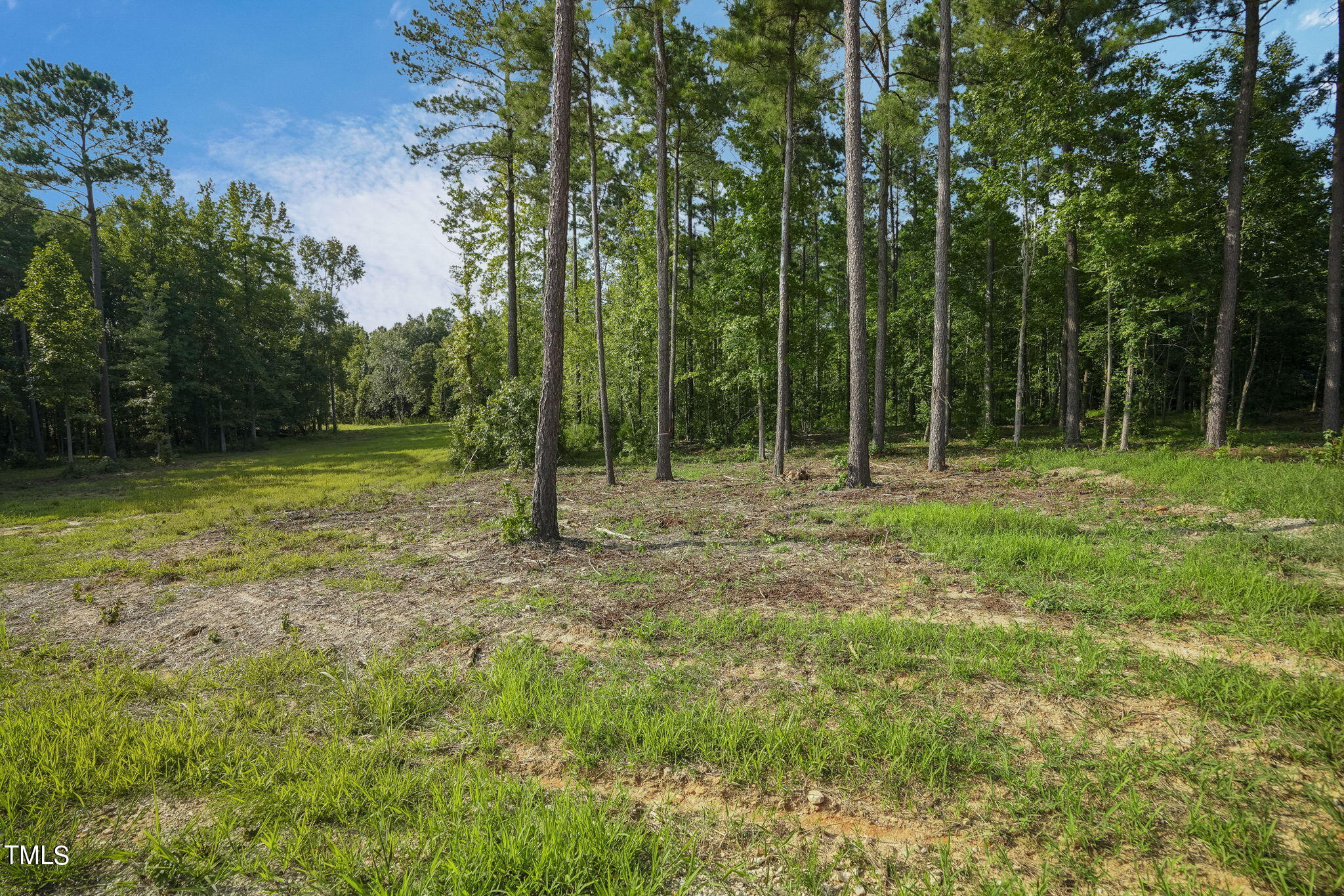 a view of outdoor space with trees all around