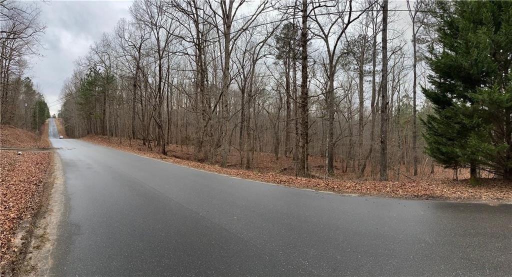 a view of a road with trees in the background