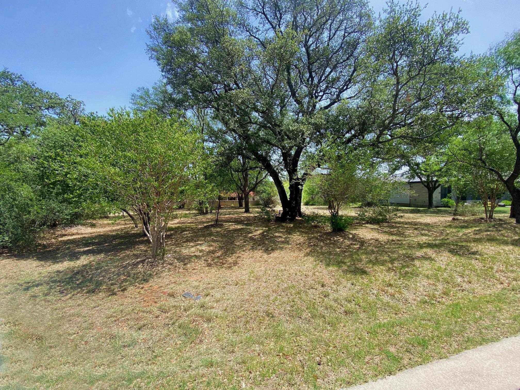 a view of a tree in the middle of a yard