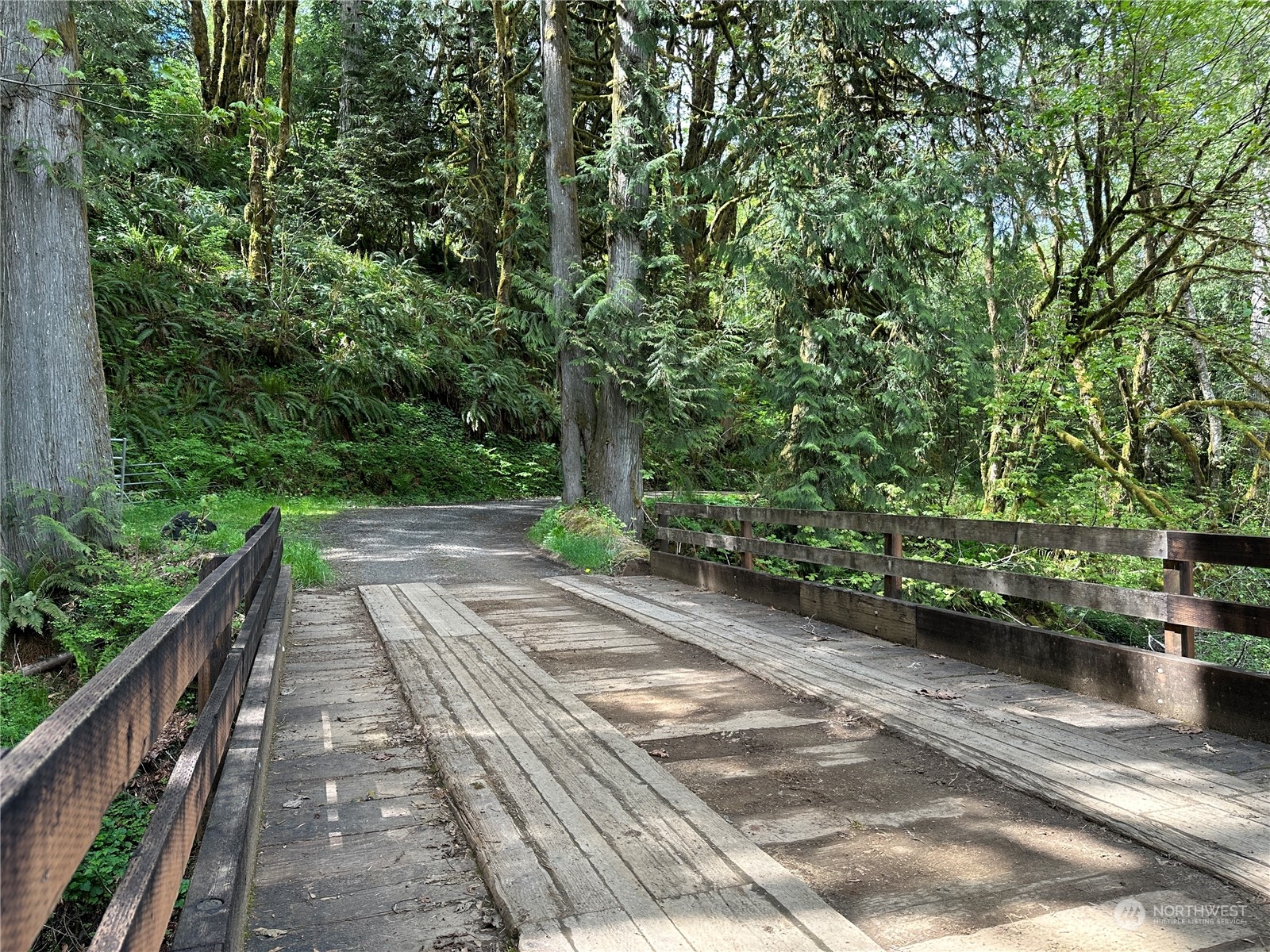 a view of path along with trees