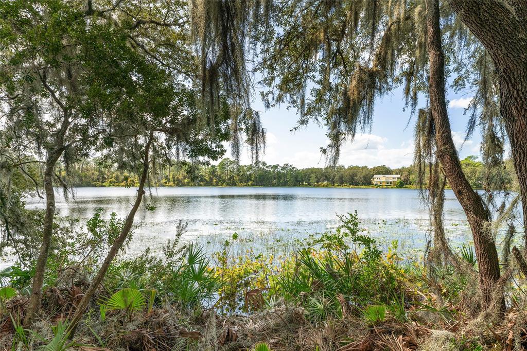 a view of lake