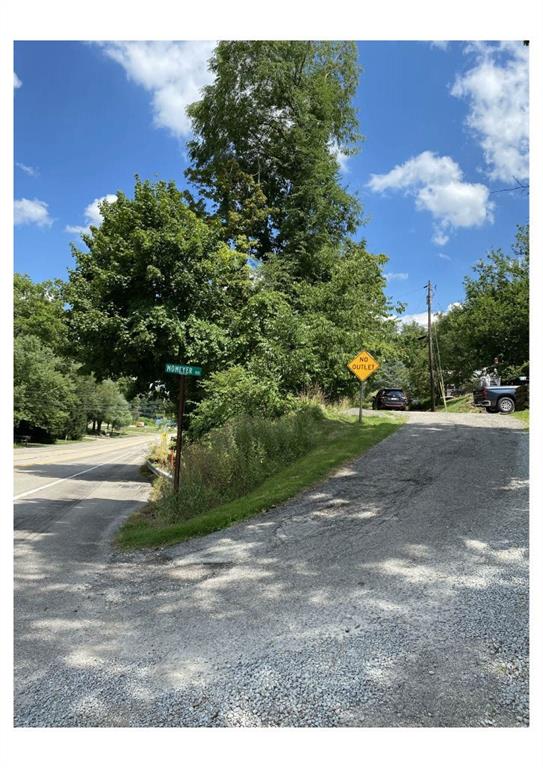 a view of a yard with an trees