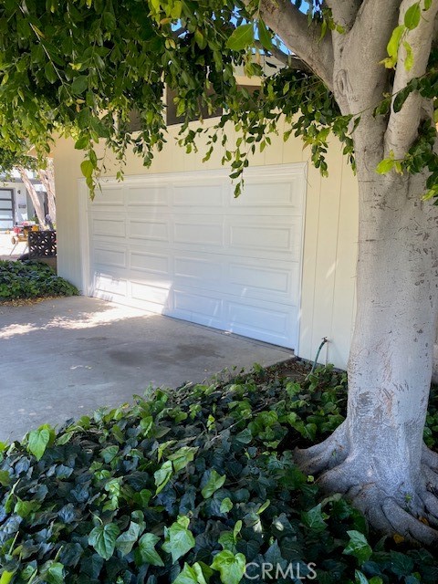 a view of a yard with plants and large trees