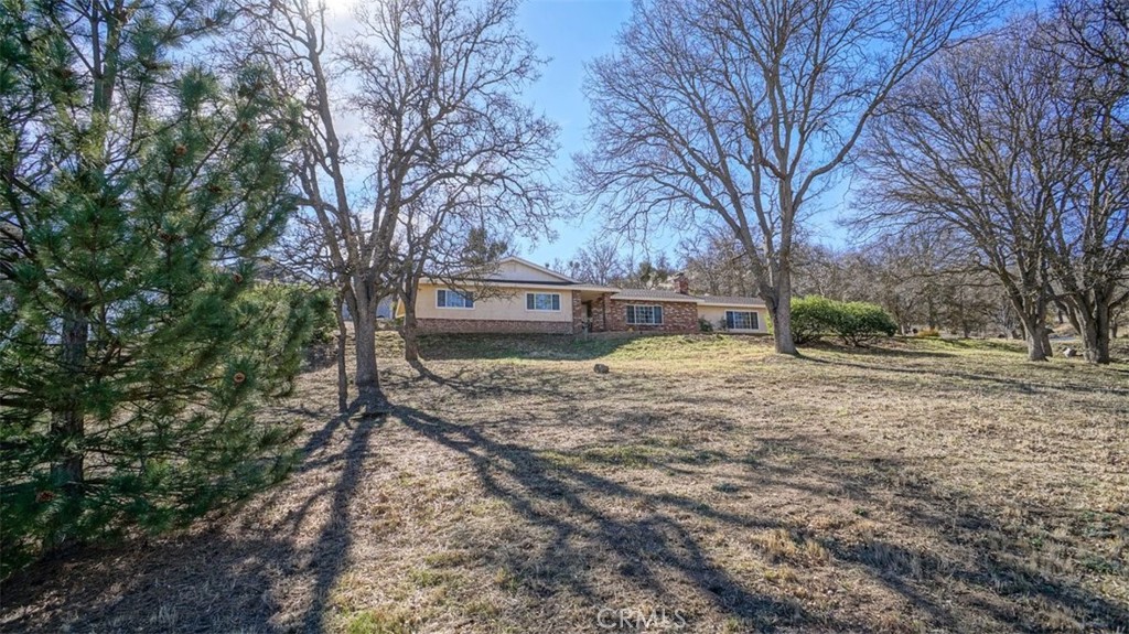 a backyard of a house with large trees