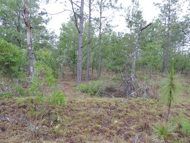 $29,900 | Tbd Pony Ridge | Rainbow Lakes Estates