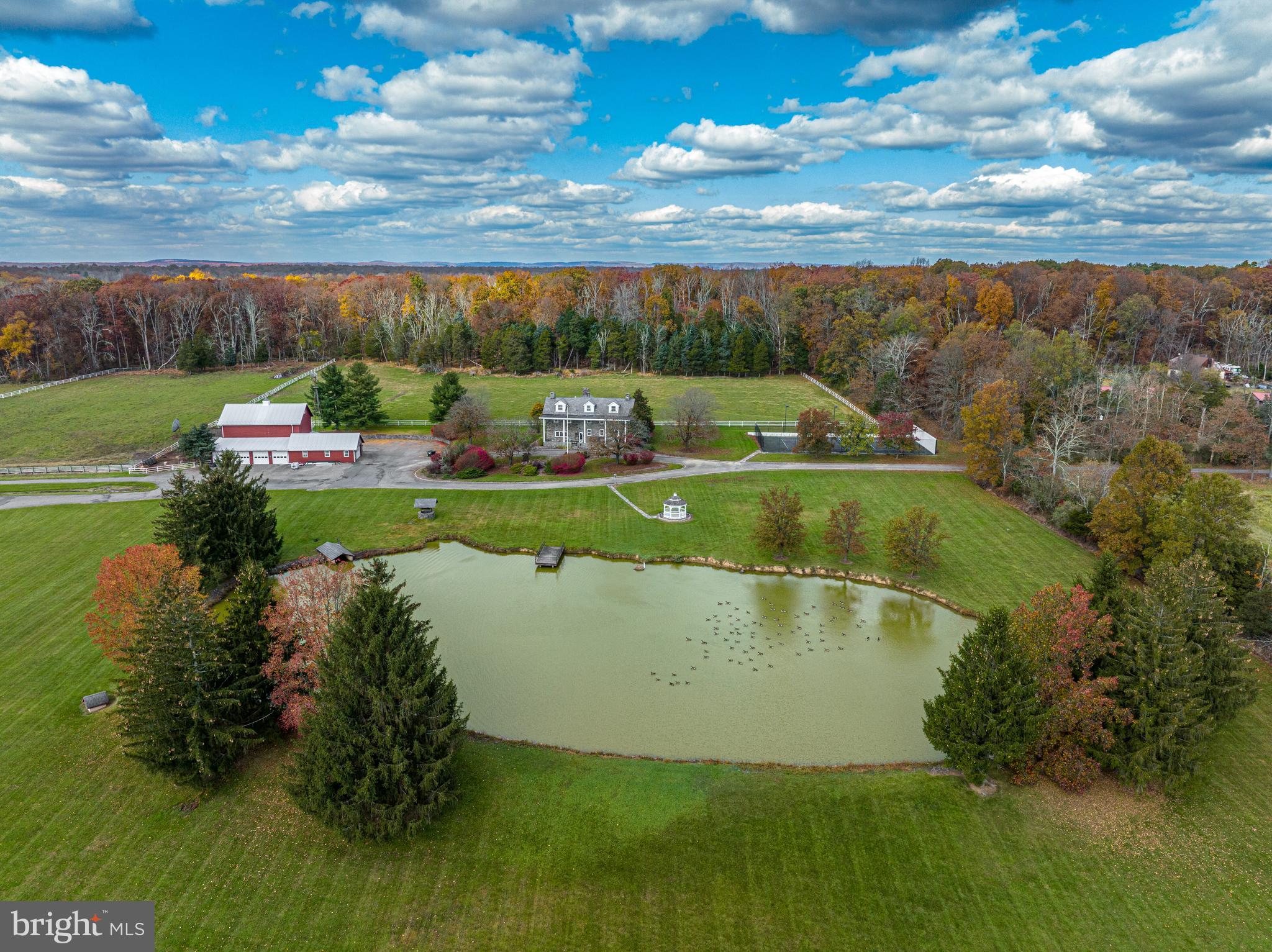 a view of a swimming pool with a yard