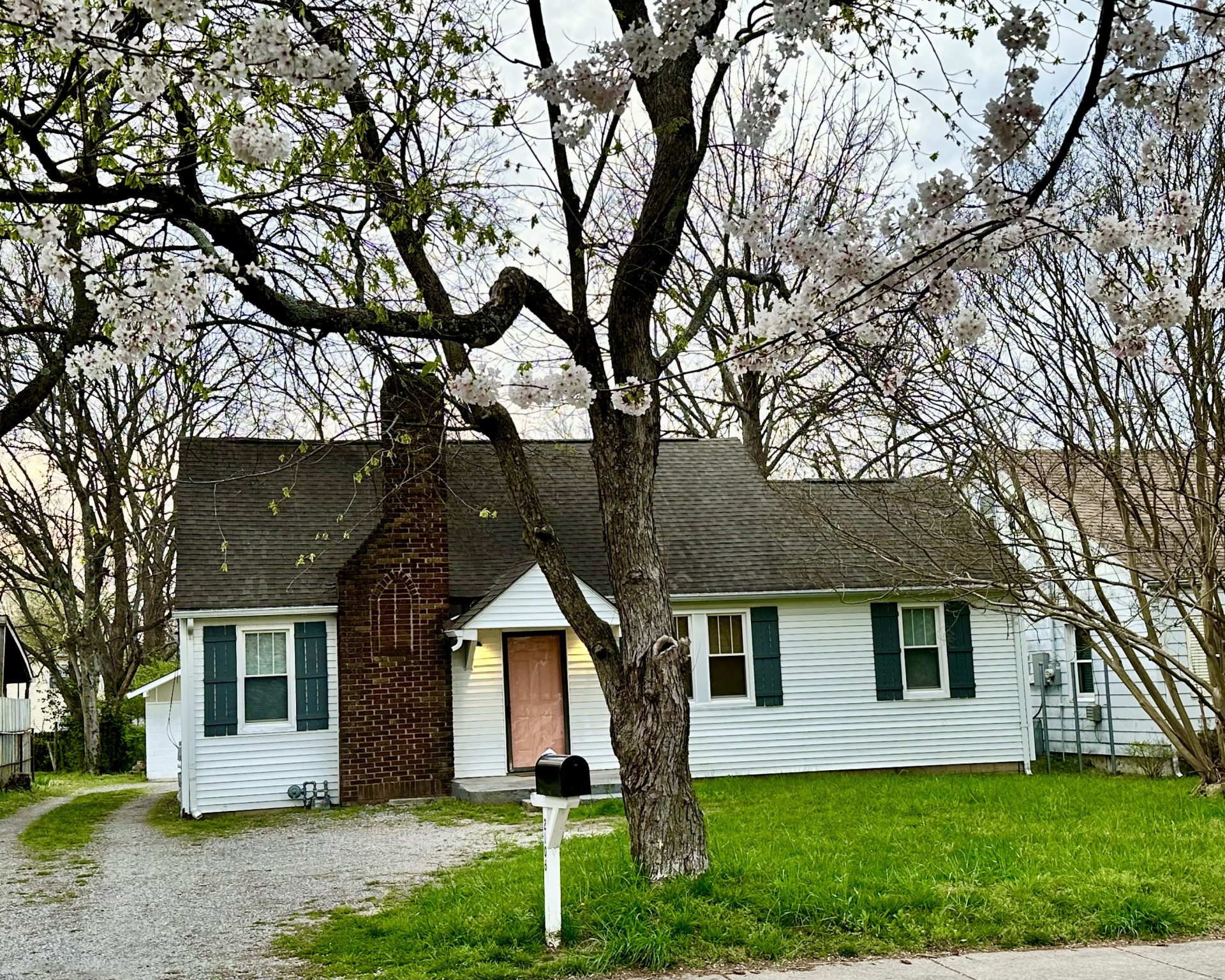 a front view of house with a garden