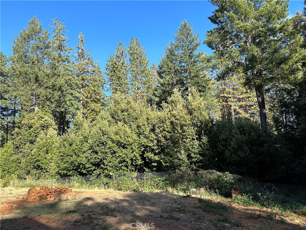 a view of a yard with plants and trees