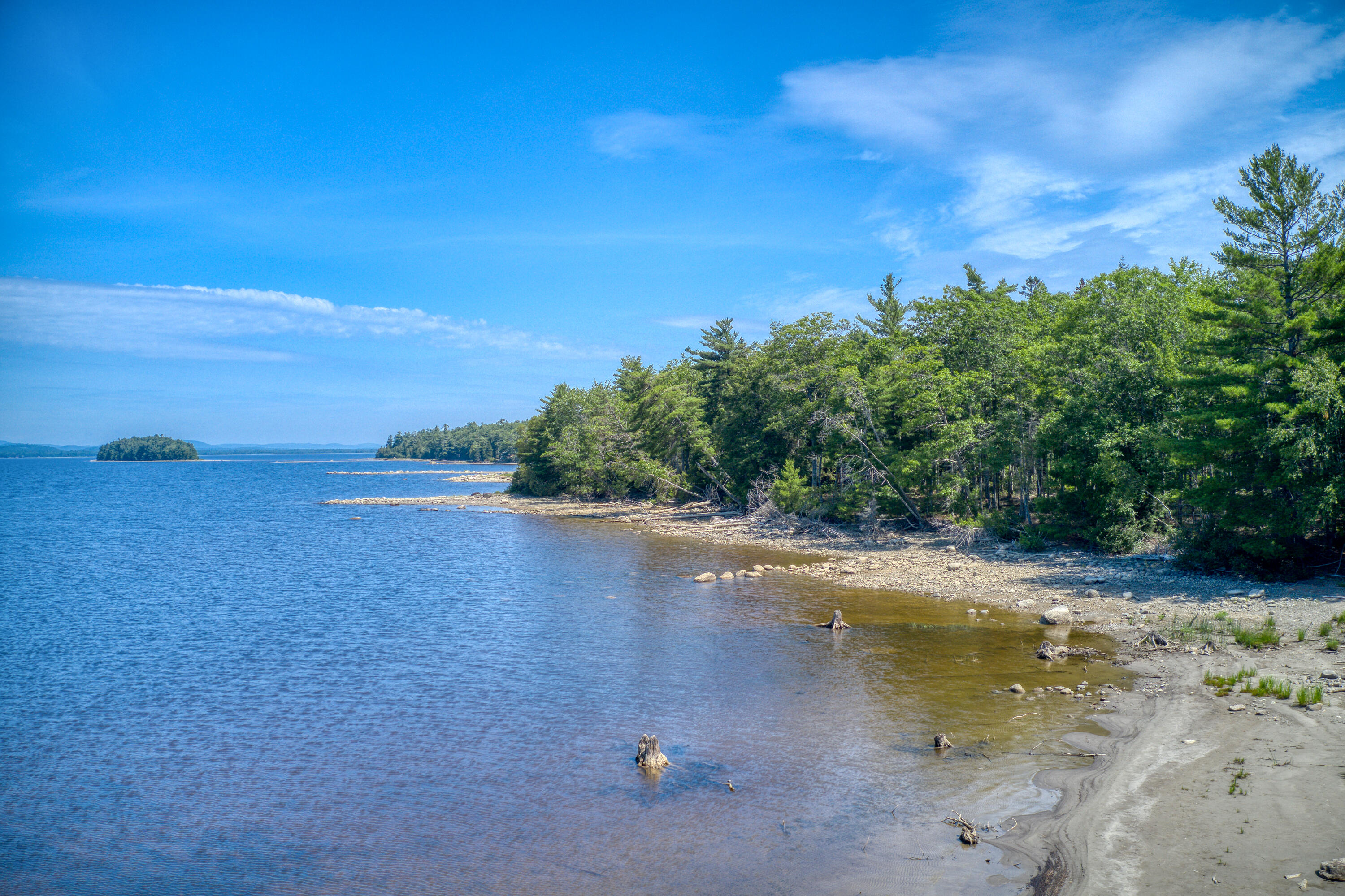 Graham Lake Shoreline